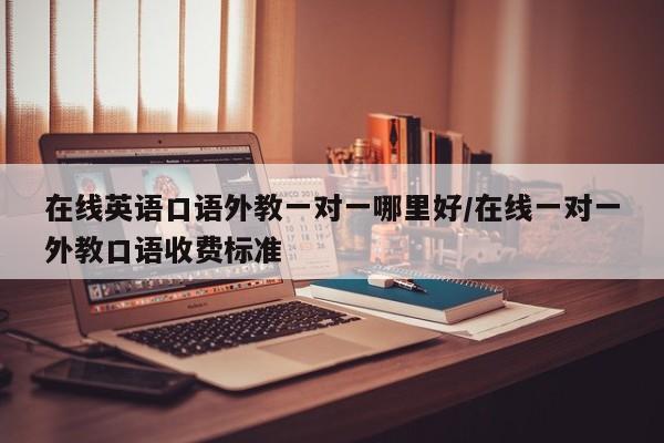 在线英语口语外教一对一哪里好／在线一对一外教口语收费标准