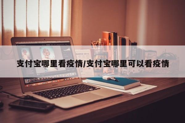 支付宝哪里看疫情／支付宝哪里可以看疫情