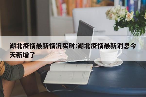 湖北疫情最新情况实时：湖北疫情最新消息今天新增了