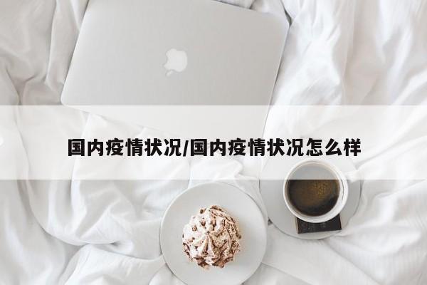 国内疫情状况／国内疫情状况怎么样