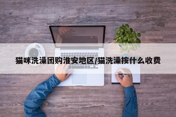 猫咪洗澡团购淮安地区／猫洗澡按什么收费