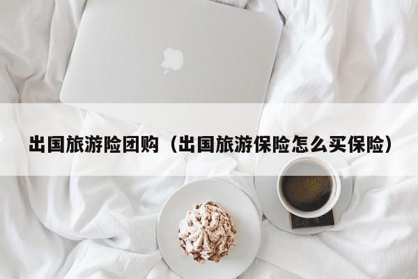 出国旅游险团购（出国旅游保险怎么买保险）
