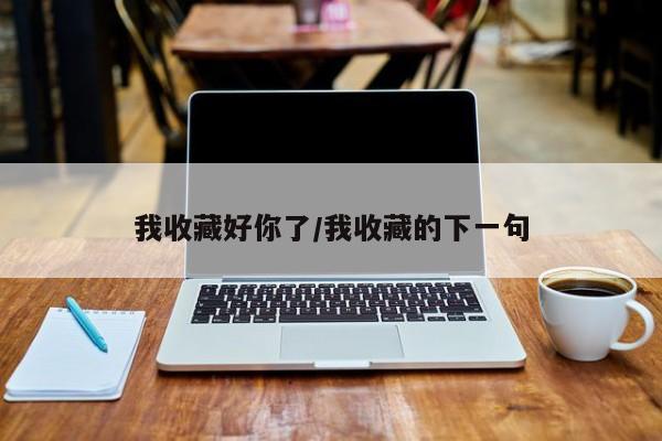 我收藏好你了／我收藏的下一句