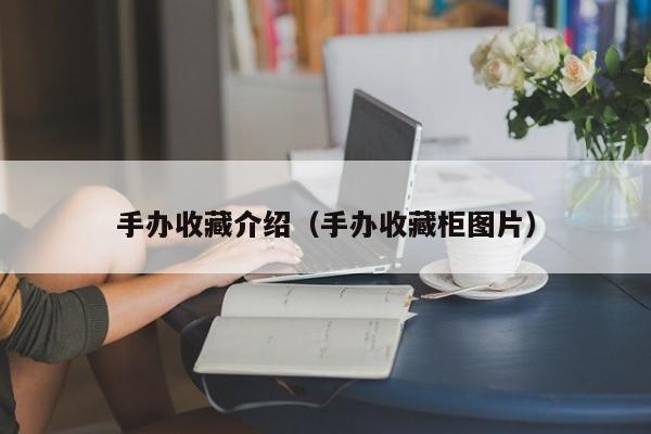 手办收藏介绍（手办收藏柜图片）