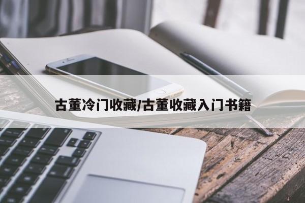 古董冷门收藏／古董收藏入门书籍