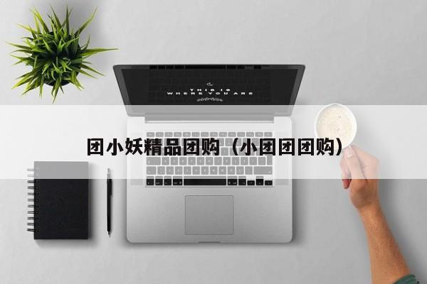 团小妖精品团购（小团团团购）